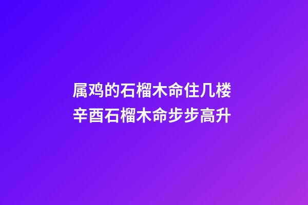 属鸡的石榴木命住几楼 辛酉石榴木命步步高升